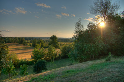 14 - Fieldscape