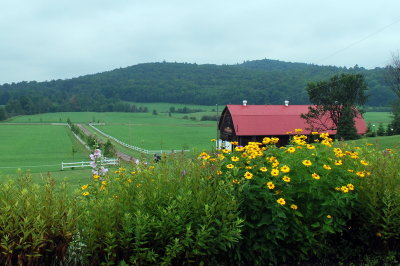 DSC_1923-2.JPG