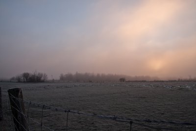 morning shot