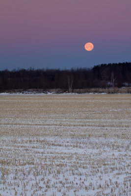 moonset just before sunrise