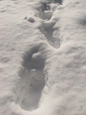 11 - Footprints