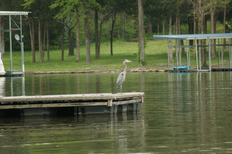DSC02585.JPG