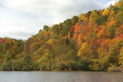 Lake On Airport Road II