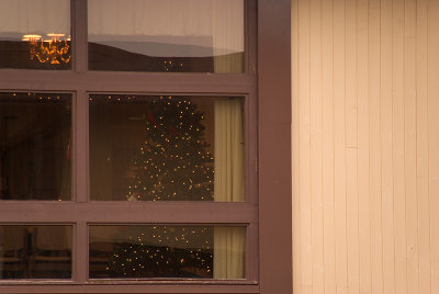 Christmas Tree in the Dining Room