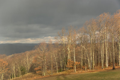 Stormy Skies