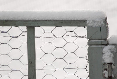 Fenced In