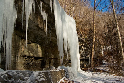 Icicles Growing