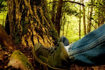 Resting