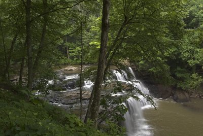 Brush Falls from the Trail
