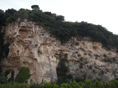 P9300497_s.jpg