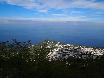 PA010508_s.jpg