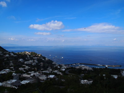 PA010520_s.jpg