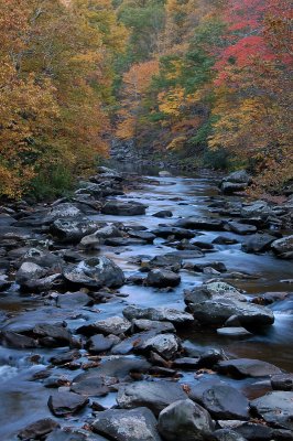 Stream 2