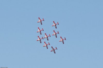 3012 Snowbirds