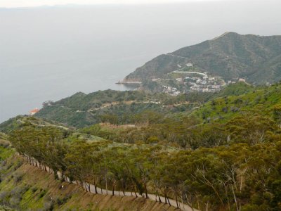 P30046 View toward Avalon