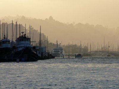 P3303 Sausalito