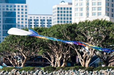 n0678 Kites in Seaport Village
