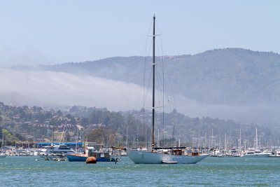 C0714 Sausalito