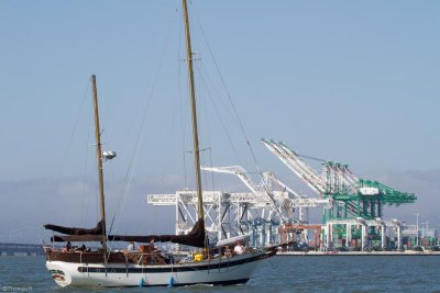 C0784 Cranes of Oakland Harbor