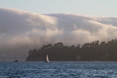 C0830 Daily cloud spectacle over Sausalito