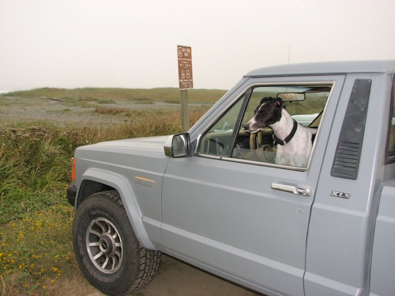 Carlow in a Jeep Comanche in Oregon