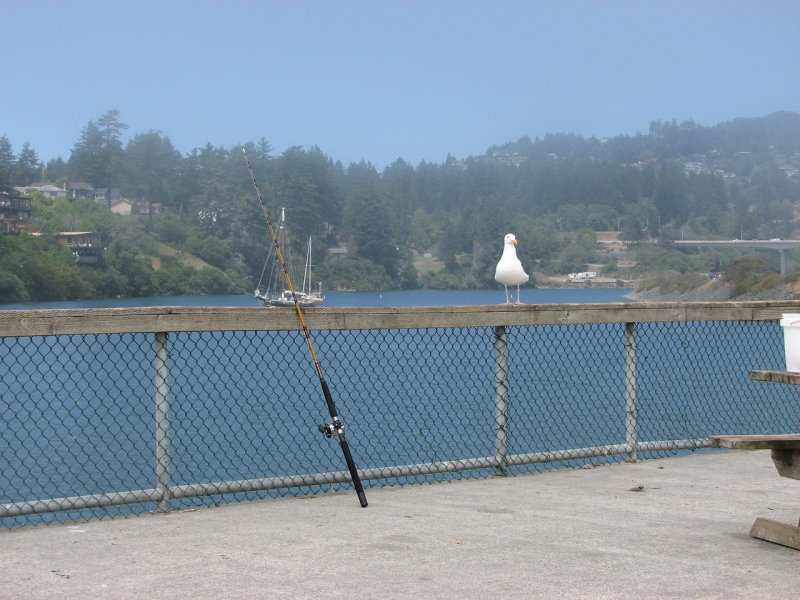 Brookings, OREGON