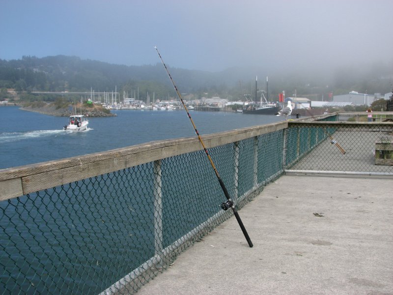 Brookings, OREGON