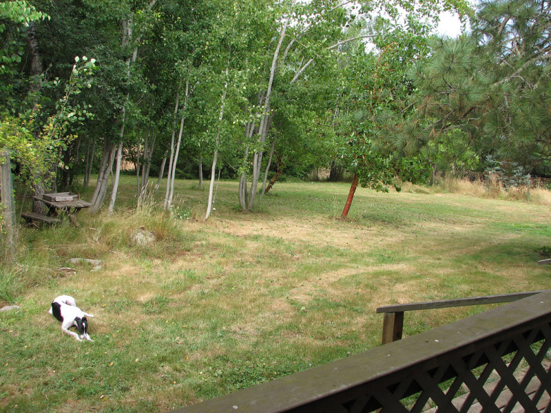 oregon2 010.jpg