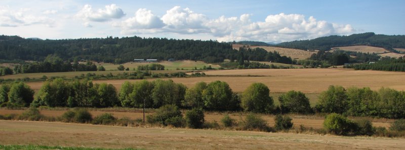 Oregon4 003.jpg