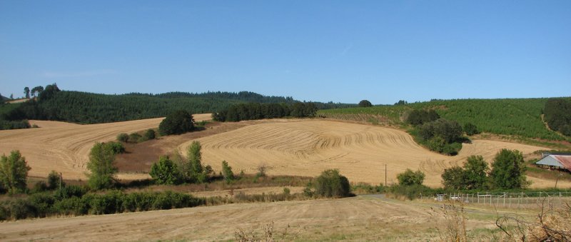 Oregon4 005.jpg