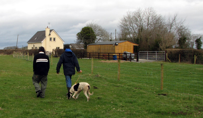 Bringing Carlow off a farm in, uh, Carlow.