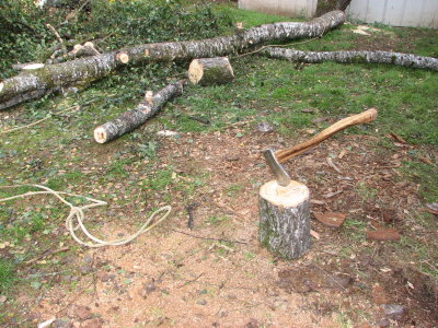 Collins Homestead Axe Circa 1960's