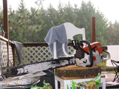 STIHL MS361 28 Bar