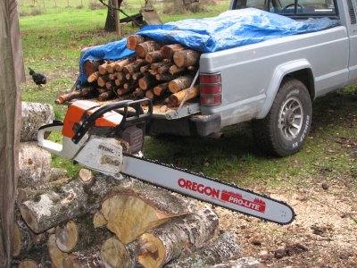 STIHL MS361 and Oregon 24 bar with skip chain