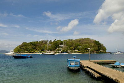 Young Island