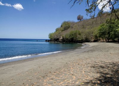 Black sand beach