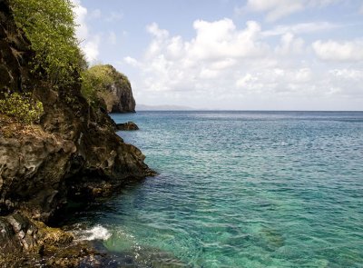Young Island