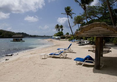 Young Island