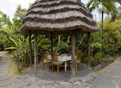 Young Island
