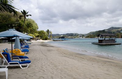 Young Island