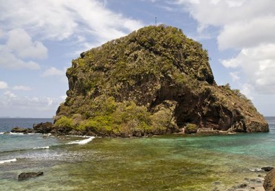 Young Island