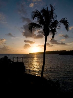 Young Island
