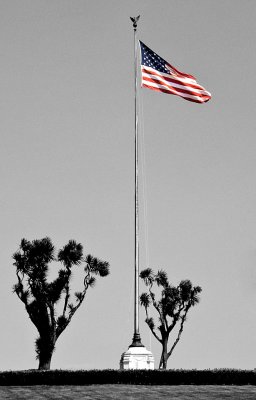 Golden Gate National Cemtery