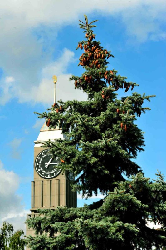 Big Ben (Krasnoyarsk)