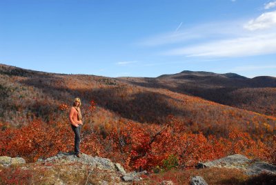 Mount Shaw - the highest point of the Ossipee Mountains