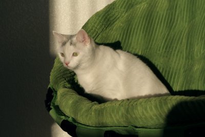 ss 064.jpg