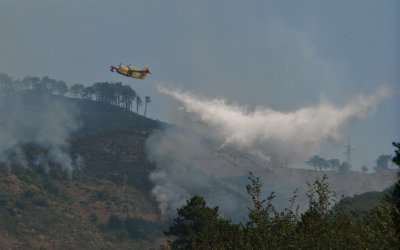Skogsbrand i Italien med vattenbombande flygplan