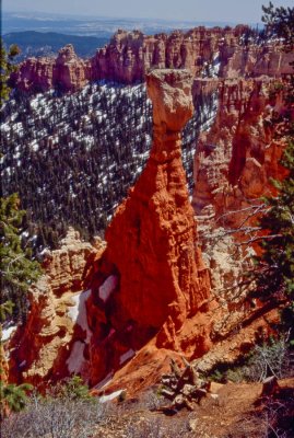 Bryce Canyon pillar