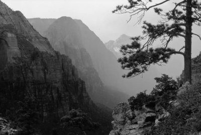Zion Canyon Storm black and white
