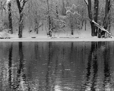 Trees, Snow and Water, Thiensville, WI   _BLP5948a-bw16x20.jpg